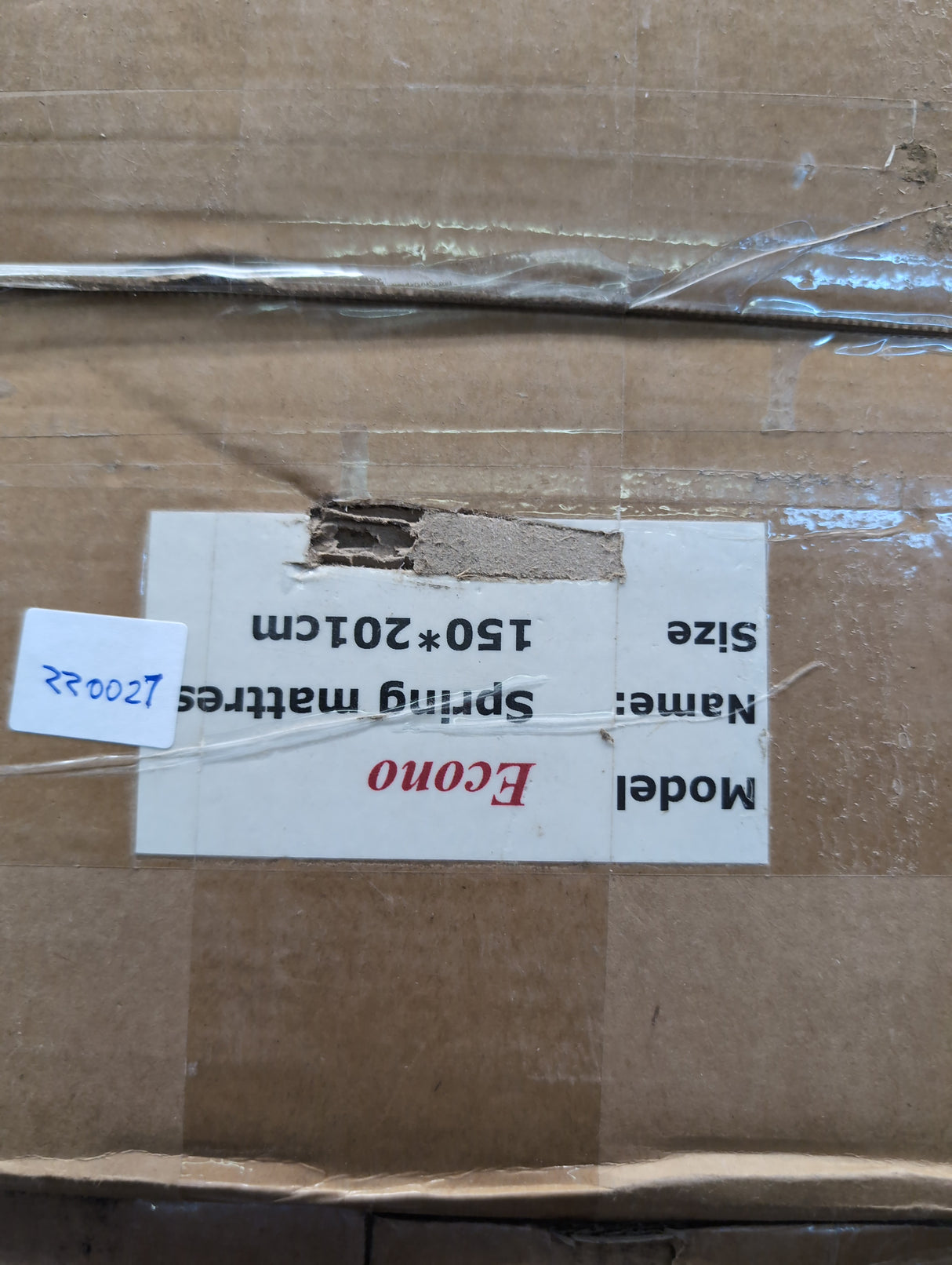 Queen Econo (lz0022)